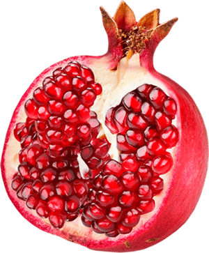 week6pomegranateseed